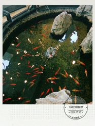 -五洲妇儿医院