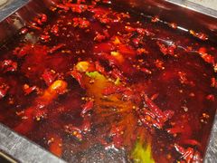 -二荆条·蜀鲜汇城市森林火锅