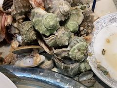 -四海蒸鲜蒸汽海鲜自助(北戴河店)