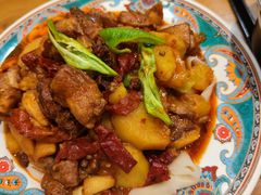 -巴依老爷新疆美食(望京小街店)