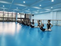 -西安小天鹅艺术团(曲江Alice店)