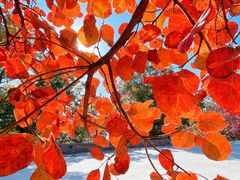 -北京西山国家森林公园