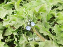 -太阳宫公园