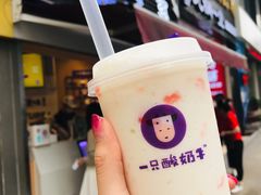 -一只酸奶牛(八一路店)