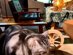 -咖法森林·咖啡  酒吧(天河店)