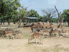 -西安秦岭野生动物园