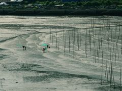 -大京沙滩