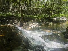 -牛背梁国家森林公园