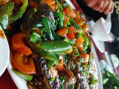 剑骨鱼啤酒炖-生态苑农庄(十里画廊遇龙河店)