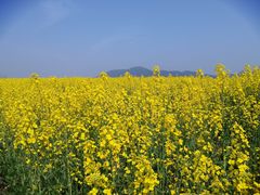 -苏州吴中太湖旅游区