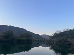 -龙坞茶村
