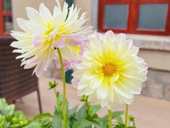 -上街里市集(悦喜客来广场店)