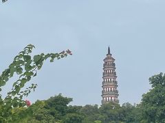 -顺峰山公园