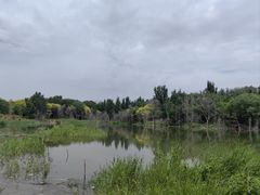 -绿堤公园