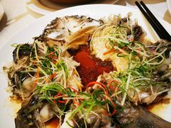 -桃源咖啡厅(武夷山大红袍山庄店)