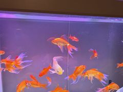 -隆成大洗浴(新城东路店)