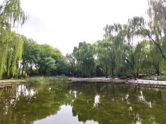 -玲珑塔公园
