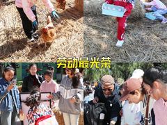 -北戴河集发农业梦想王国