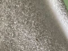 -上海滴水湖皇冠假日酒店