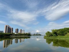 -飞来湖湿地公园