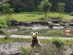 -宁波野生动物园