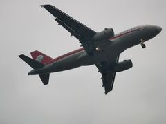 -空港花田景区