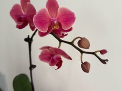 -佬巨化·衢州麻辣烫(运河上街店)