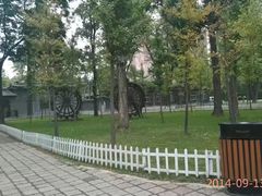 -迎泽公园