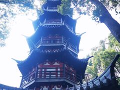 -上海佘山国家森林公园西佘山园