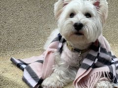 -翠贝卡&Mama Kelly Brunch Coffee(河西店)