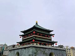 -西安饭庄·非遗陕菜(钟楼店)
