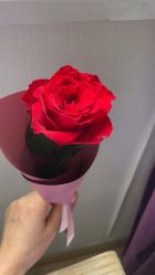 -海豚湾高端月子会所(黄浦店)