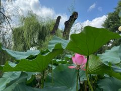 -天毓山庄·餐厅