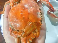 -公寓家常菜馆(海军博物馆店)