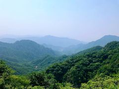 -大岭沟猕猴桃谷风景区
