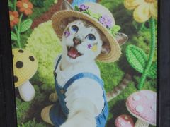 -豆逗聊愈猫阁Easy Life