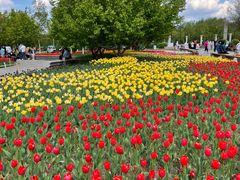 -长春公园(普阳街道)