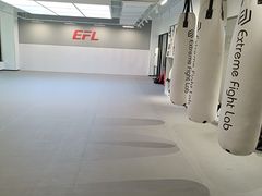 -EFL巴西柔术·综合格斗·泰拳·少儿体能训练(虹桥德必馆)