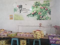 -南汇水蜜桃采摘(大团店)