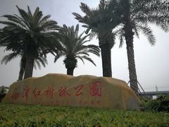 -宝安西湾红树林湿地公园