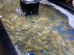 -亚马逊海鲜自助(梅溪湖步步高店)