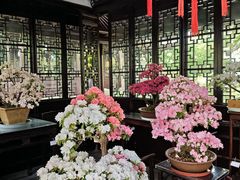 -上海醉白池公园