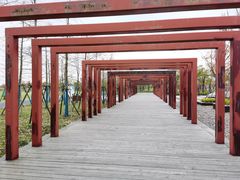 -春花秋色城市公园