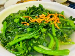 -石岐乳鸽村(南海第三分店)