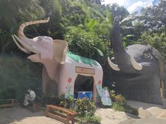 -野象谷景区