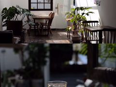 -素咫咖啡CLIFEROSE