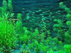 -上海海洋水族馆