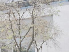 -张掖市博物馆