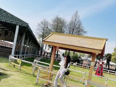 -太阳岛度假酒店