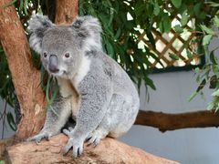 -费瑟代尔野生动物园